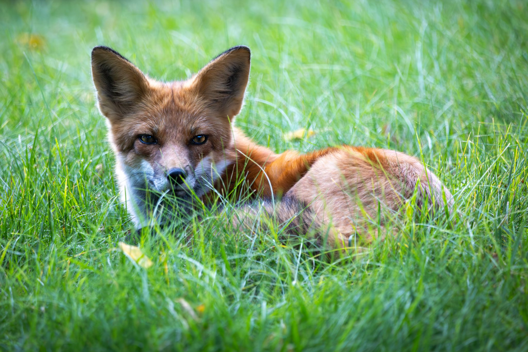 IMG 9744 Enhanced NR copy